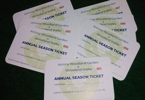 Antony Woodland Garden Tickets